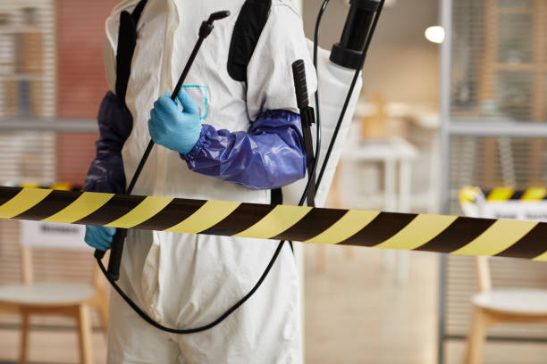 Professional Hoarding Cleanup technician working in Central City, PA